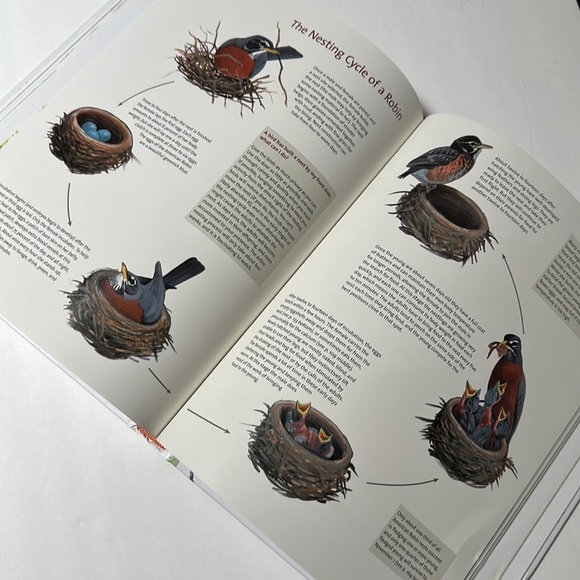 What It’s Like to Be a Bird hardcover book - Picture 7 of 8